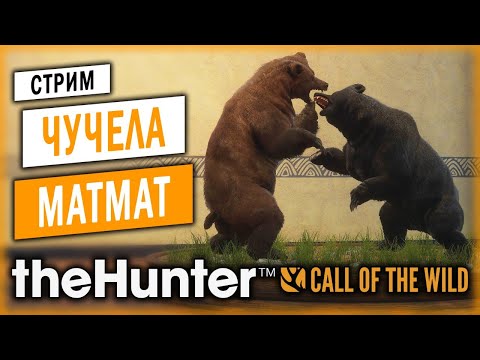 Видео: theHunter Call of the Wild #18 🐻 - Кoмпозиции из Чучeл от Матмат - СТРИМ