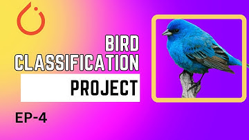 Ep - 4 | Writing the model | Bird Classification project in Deep Learning using PyTorch