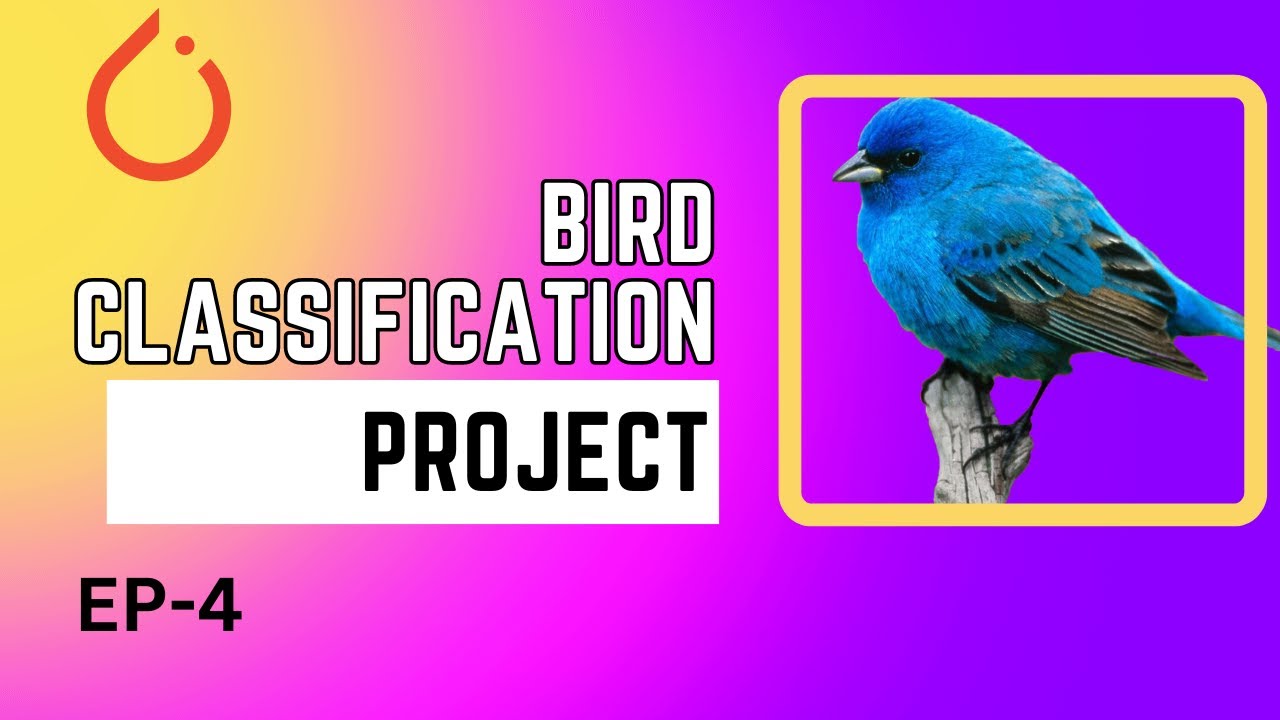 Ep - 4 | Writing the model | Bird Classification project in Deep ...