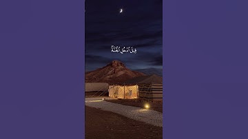 القرآن الكريم | سورة يس | القارئ محمد هشام 🤍🍃