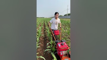 #Rotary tillage, weeding and trenching machine#Ditching and soil-raising machine#viralvideo #shorts