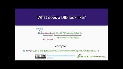 Decentralized Identifiers DIDs and W3C with Manu Sporny and Drummond Reed