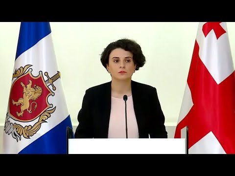 შინაგან საქმეთა მინისტრის მოადგილის, ნათია მეზვრიშვილის ბრიფინგი