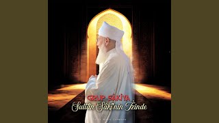 Sultân Sâkînin İzinde Resimi
