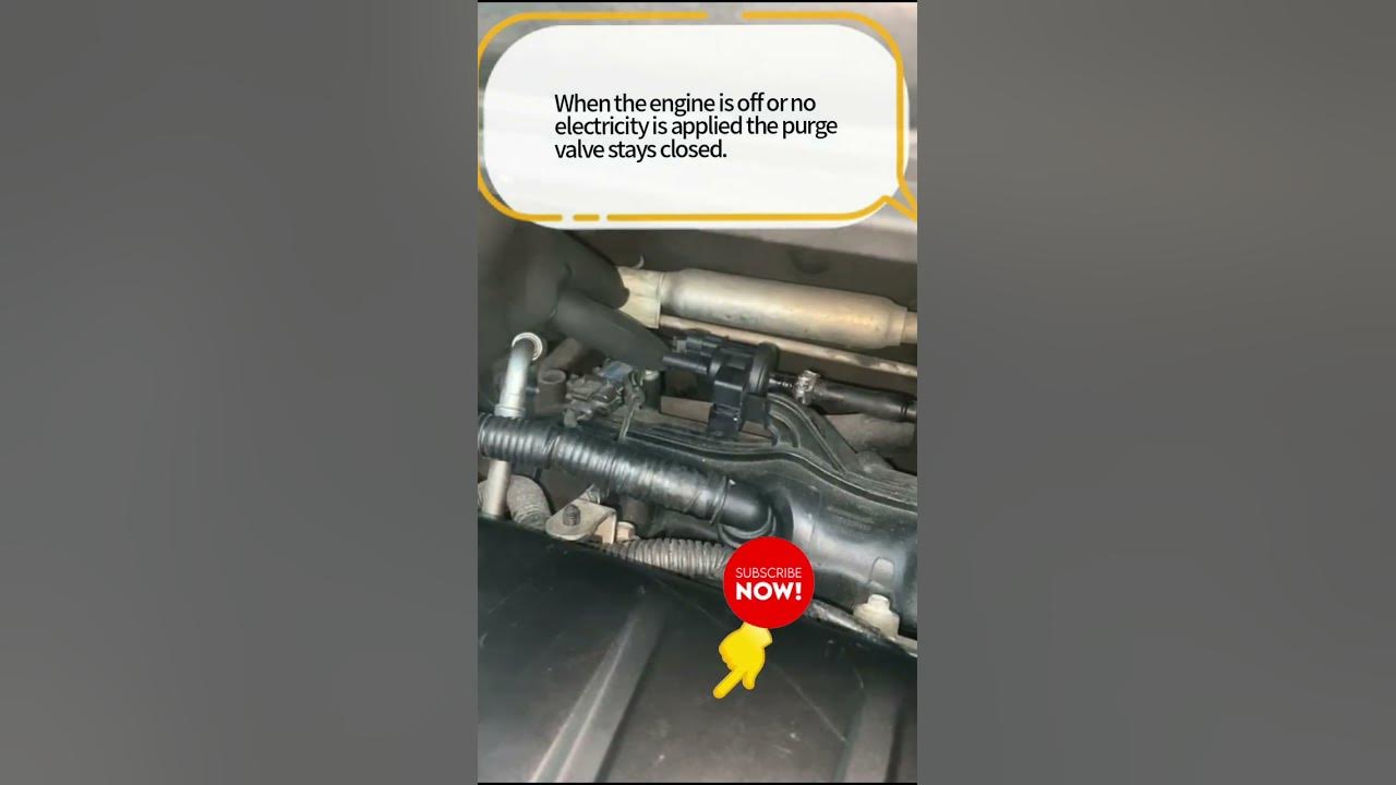 How to test PURGE VALVE very easy PART 2 shorts Be your own 