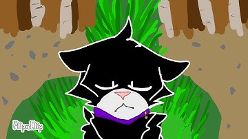 Running With the Wolves//WARRIORS MAP PART 5-6