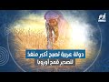 دولة عربية تصبح أكبر منفذ لتصدير قمح أوروبا