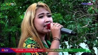 dusta ll elvy sukaesih ( cover new pratama music )