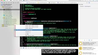 11. iOS App for beginners -  Adding Value to Array.mov