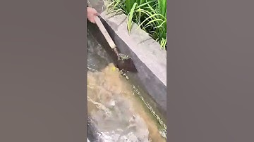 The process of cleaning up weeds in the canal, good tools can improve efficiency