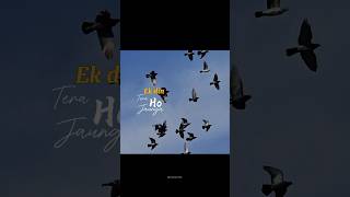 Download Lagu Ek Din Teri Raahon Me || Naqaab (2007) || Javed Ali || Lyrics Video || #love #sad #ekdin #lyrics MP3