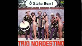 Video thumbnail of "Trio Nordestino - 07   meu pitiguari"