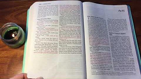 John 21 NIV Audio Bible - Read With Me Live!