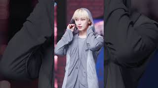 Enhypens Fatal Trouble Line Distribution