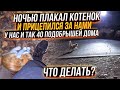 Котенок бежал за нами до самого дома🥺 Может он чей то? В конце на трассе я увидела еще одного😱