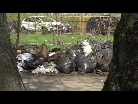 Видео В Ярославле собранный мусор продолжает лежать у контейнерных площадок и вдоль обочин