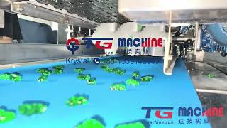 Want high profit functional gummies? 80kg/h full auto line!