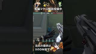 【パール】【サイファー】A守りで使える面白いワンウェイケージ!!#valorant #vct #ヴァロラント #ずんだもん #vtuber