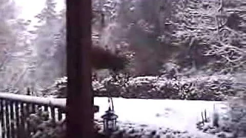 Sean McLean's Video Blog 4 - Snow, Loudity, Nudity...