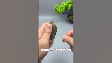 Cuộn cước 500m tàng hình, chịu tải cao #cauca #fishing #shorts