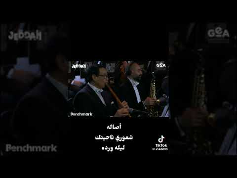 شعوري ناحيتك ولكن بصوت المطربة الكبيره أصالة نصري هي رائعة المطربه الكبيره ورده