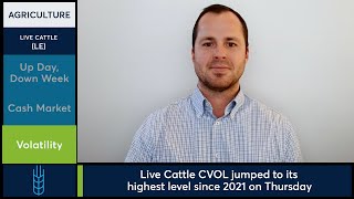 Live Cattle futures saw volatility jump to highest level since 2021. 11/7/25
