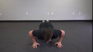 Plyo Push Up  -  Plyometric Clap Push Ups