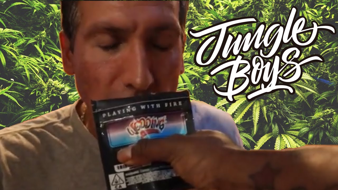 Smoking Jungle Boys for the first time  🔥🔥🔥🔥