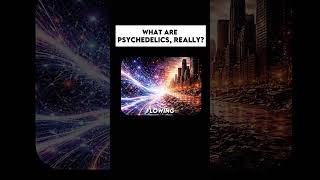 Psychedelics are the Event Horizon of consciousness.