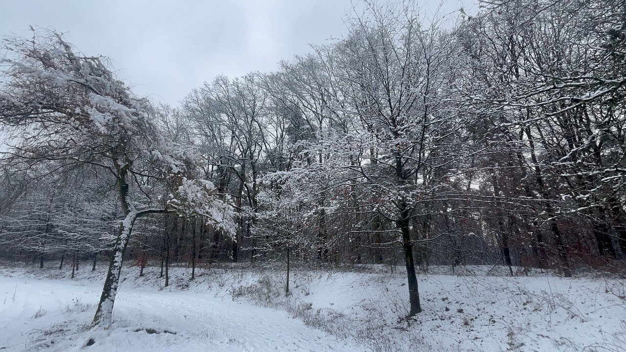 Winter Januari 2026❄️