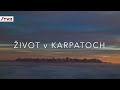 Krása slovenských Karpát – vychutnajte si prírodu, ako ju nepoznáte | Život v Karpatoch 🐻