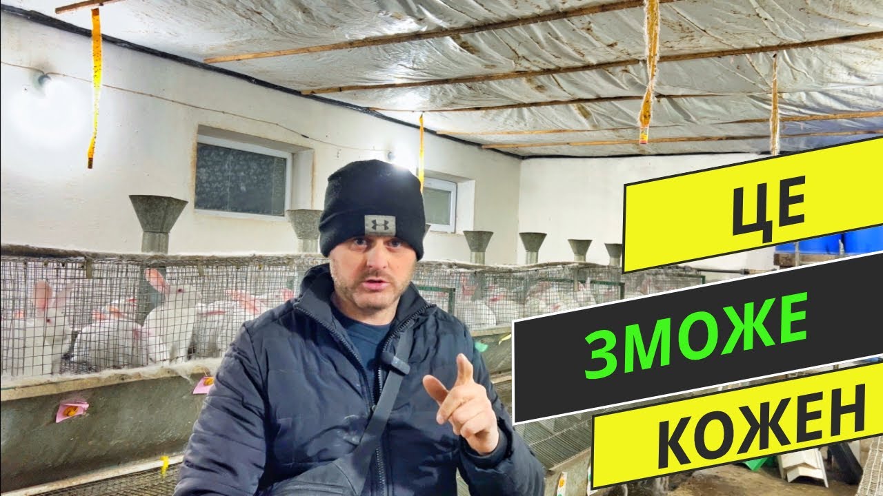 Не бійтеся займатися кроликами