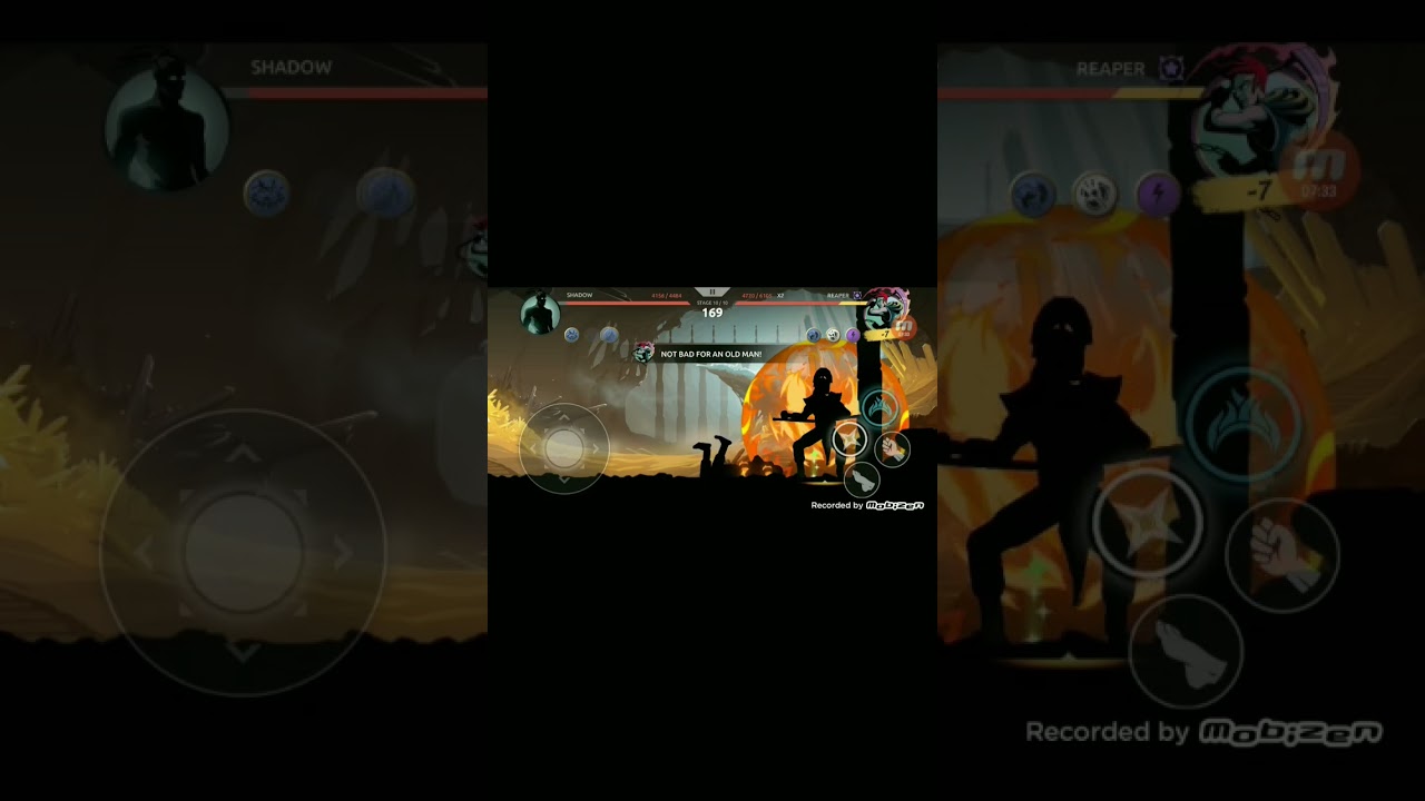 Shadow vs Reaper Shadow Fight Shades 