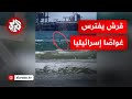 شاهد سمكة قرش تفترس غواص ا إسرائيلي ا في الخضيرة شاهد سمكة قرش تفترس غواص ا إسرائيلي ا في الخضيرة