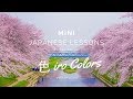 Mini Japanese Lessons | How to Pronounce Japanese Colors 色 iro (Enrich your words and vocabulary!)