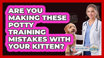 Are You Making These Potty Training Mistakes With Your Kitten? - Ask A Pet Vet