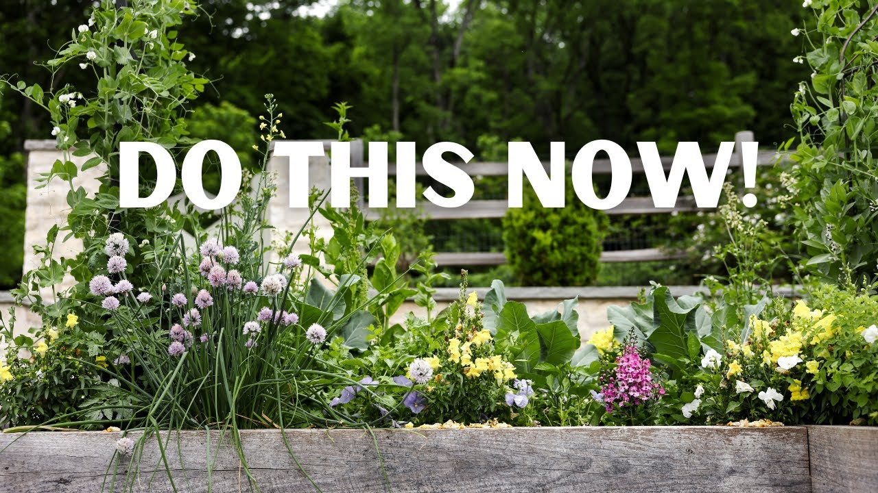 10 Easy Things to Do Now for an Abundant Spring Garden - YouTube