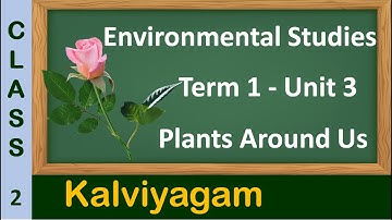 plants around us | Class2 | EVS | std 2 | TN syllabus | Plants around us class 2 | Types of plants