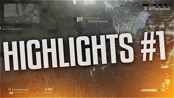Highlights #1 (Multi-Cod)