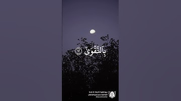 #تلاوة من #سورة_العلق بصوت #محمد_صديق_المنشاوي #قران #قرآن_كريم #آيات #استغفرالله #الحمدلله #quran