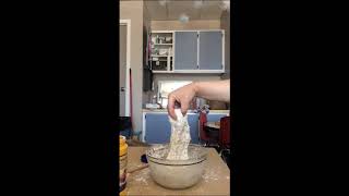 -The Online Edition Chia Seed Slime