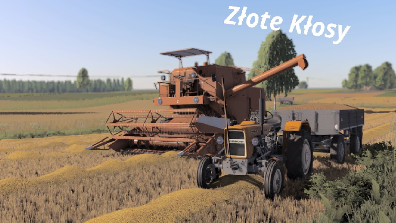 🌾 Żniwa U Pana Mariana i Grzegorza.🌾  ,,Złote Kłosy