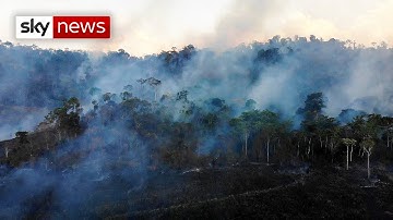 Amazon on fire: Flames rip through Brazil