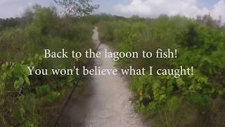 Tigertail Beach Marco Island | You Won't Believe What I Caught!