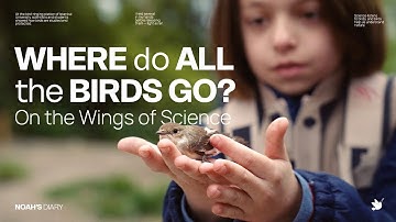 Where Do All the Birds Go? Documentary Exploring Bird Migration and Ornithology