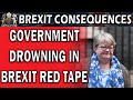 Unbelievable: Government Stuck with &quot;Brexit Red Tape&quot;