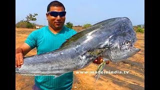 #YOU NEVER SEEN BEFORE THIS TYPE OF FISH | #Do You Know Name of the Fish? | #BBQ BIG HEADED FISH