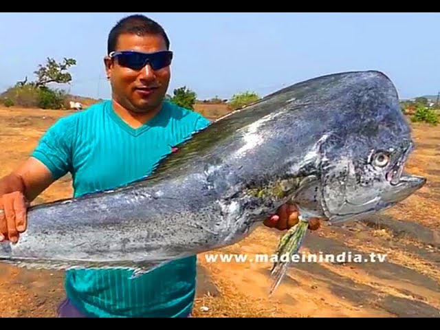 #YOU NEVER SEEN BEFORE THIS TYPE OF FISH | #Do You Know Name of the Fish? | #BBQ BIG HEADED FISH | STREET FOOD