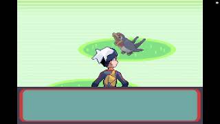[GBA] Pokemon Ruby - part 11 - no commentary