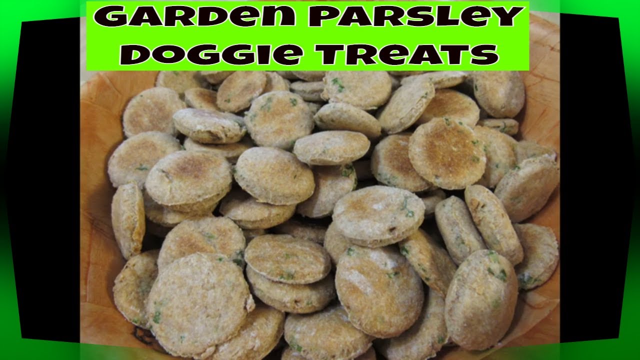 Garden Parsley Dog Treats YouTube